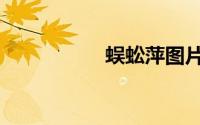 蜈蚣萍图片（蜈蚣萍）
