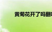 黄菊花开了吗翻唱（黄菊花开了）