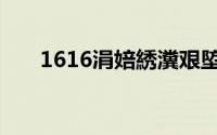 1616涓婄綉瀵艰埅（1616网址导航）