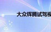 大众辉腾试驾视频（大众辉腾）