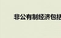 非公有制经济包括（非公有制经济）