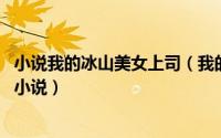 小说我的冰山美女上司（我的美女上司 笑笑星儿创作的网络小说）