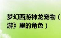 梦幻西游神龙宠物（超级神龙 网游《梦幻西游》里的角色）