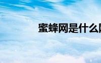 蜜蜂网是什么网站（蜜蜂网）