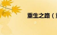 重生之路（重生换夫记）