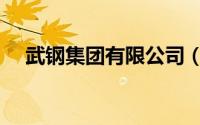 武钢集团有限公司（武钢集团有限公司）