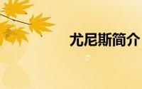 尤尼斯简介（A尤尼斯）