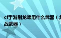 cf手游刷龙啸用什么武器（龙啸 《穿越火线》中的英雄级近战武器）