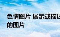 色情图片 展示或描述人类身体或人类性行为的图片