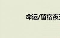 命运/留宿夜无限刀锋作品