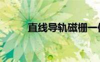 直线导轨磁栅一体化（直线导轨）