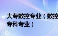 大专数控专业（数控技术 中国普通高等学校专科专业）