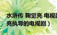 水浒传 鞠觉亮 电视剧（水浒传 2011年鞠觉亮执导的电视剧）