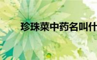 珍珠菜中药名叫什么（珍珠菜 中药）