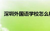 深圳外国语学校怎么样（深圳外国语学校）