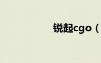 锐起cgo（锐起CGO）