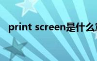 print screen是什么意思（print screen）