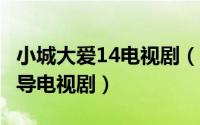 小城大爱14电视剧（小城大爱 2012年李妮执导电视剧）