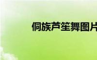 侗族芦笙舞图片（侗族芦笙舞）