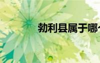 勃利县属于哪个市（勃利县）