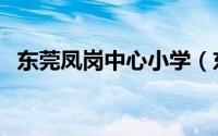 东莞凤岗中心小学（东莞市凤岗南门小学）