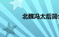 北魏冯太后简介（北魏君主）