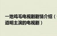 一地鸡毛电视剧剧情介绍（一地鸡毛 1995年冯小刚执导陈道明主演的电视剧）