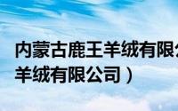 内蒙古鹿王羊绒有限公司董事长（内蒙古鹿王羊绒有限公司）