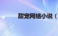 甜宠网络小说（昧宠 网络小说）
