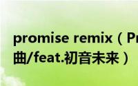 promise remix（Promise Samfree的原创曲/feat.初音未来）
