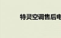 特灵空调售后电话（特灵空调）