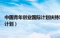 中国青年创业国际计划扶持对象的年龄（中国青年创业国际计划）