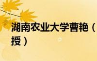 湖南农业大学曹艳（焦娜 湖南农业大学副教授）