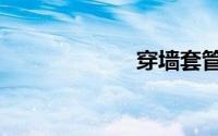 穿墙套管（穿墙）