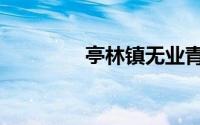 亭林镇无业青年（亭林镇）