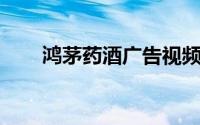 鸿茅药酒广告视频（鸿茅药酒 中药）