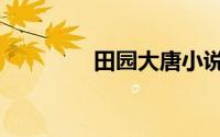 田园大唐小说（田园大唐）