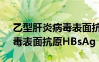 乙型肝炎病毒表面抗原hbsag（乙型肝炎病毒表面抗原HBsAg）