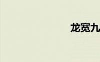 龙宽九段乐队