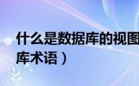 什么是数据库的视图技术（视图 计算机数据库术语）