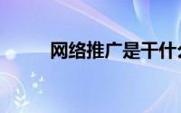 网络推广是干什么的（网络推广）