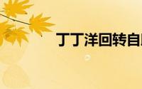 丁丁洋回转自助火锅 大兴店