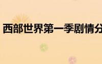 西部世界第一季剧情分析（西部世界第一季）