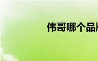 伟哥哪个品牌好（伟哥）