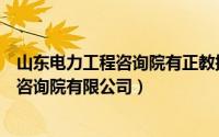 山东电力工程咨询院有正教授级高级工程师（山东电力工程咨询院有限公司）