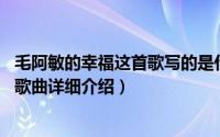 毛阿敏的幸福这首歌写的是什么简介（关于幸福 毛阿敏演唱歌曲详细介绍）