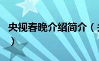 央视春晚介绍简介（关于我上春晚了详细介绍）