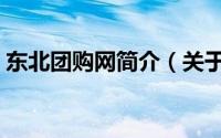 东北团购网简介（关于东南团购网详细介绍）