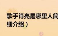 歌手肖亮是哪里人简介（关于肖光伟 歌手详细介绍）