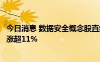 今日消息 数据安全概念股直线拉升，久远银海涨停，任子行涨超11%